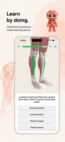 Anato - Learn Anatomy Fast Screenshot 2 of 8