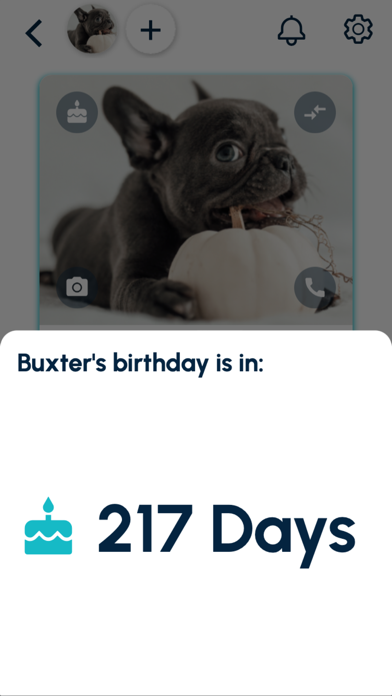 MyPetPort Screenshot