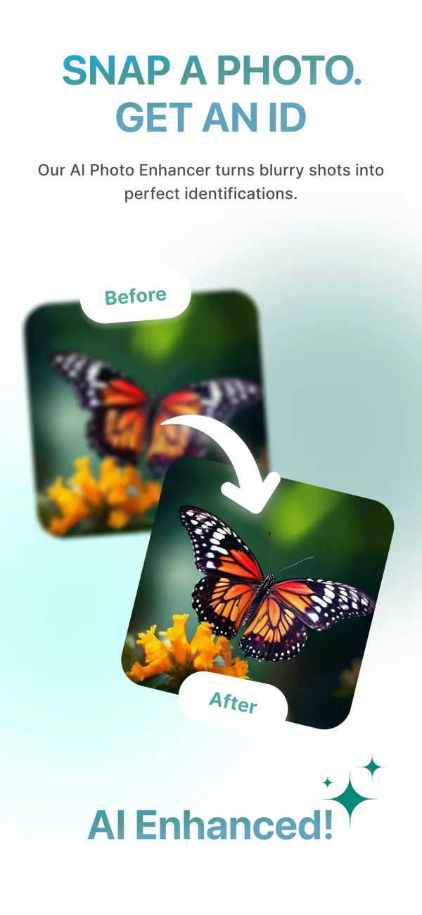 Screenshot #3 pour InsectBrain: Bug Identifier