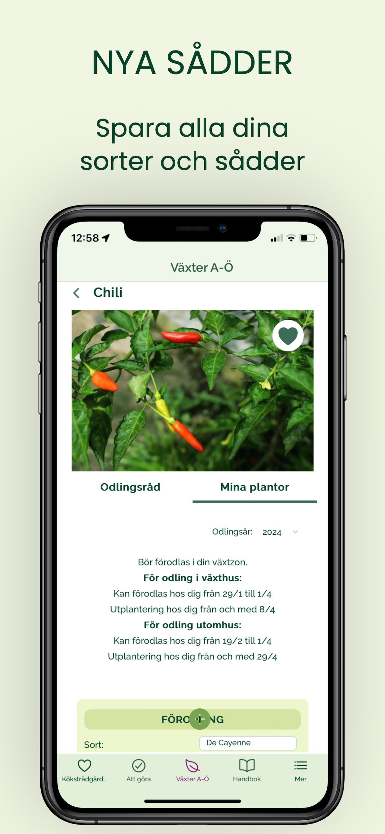 Odla ätbart