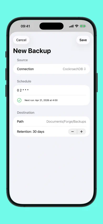 Forge Database Manager screenshot 5