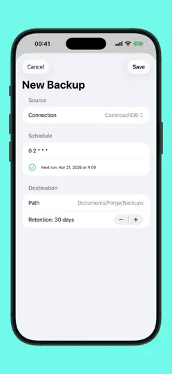 Capture d'écran de Forge Database Manager sur iPhone 5