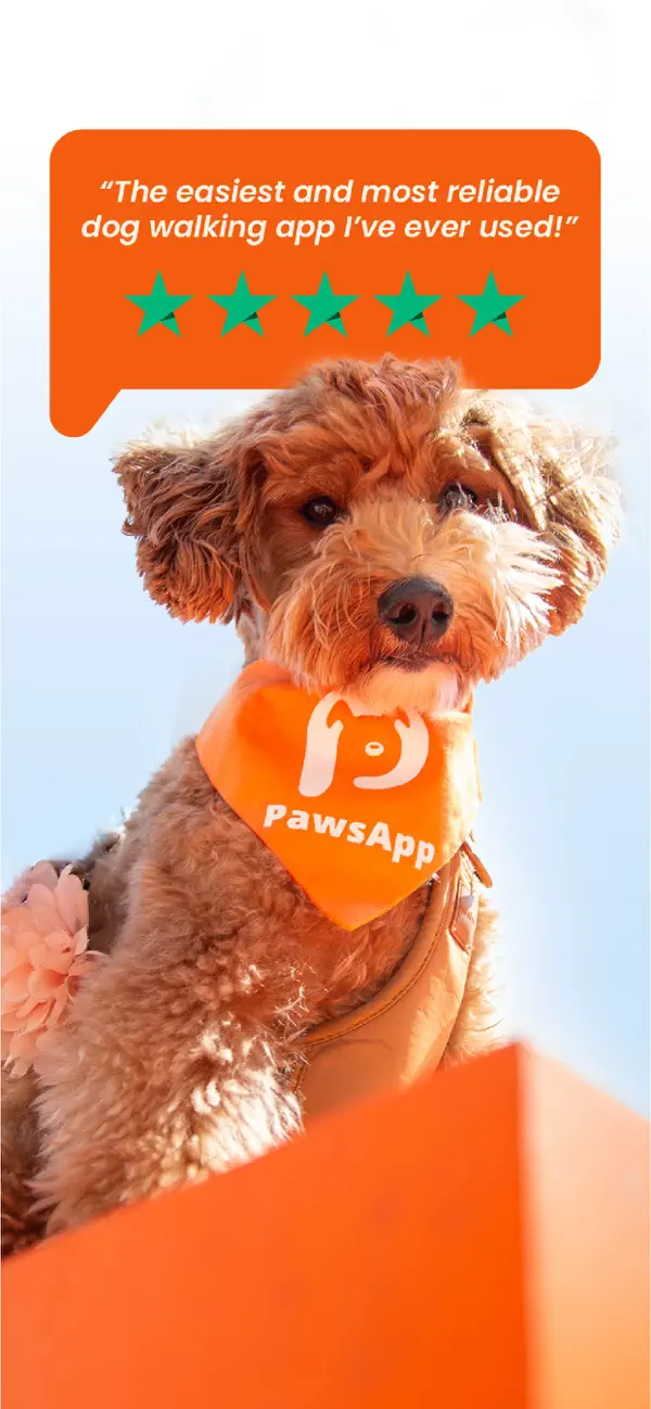 Screenshot #1 pour Pawsapp: Trusted Dog Walkers