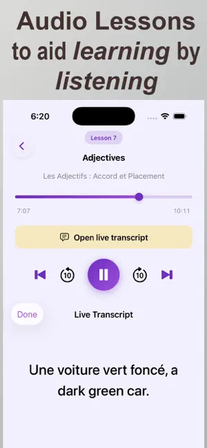French Grammar - Intermediate screenshot 3