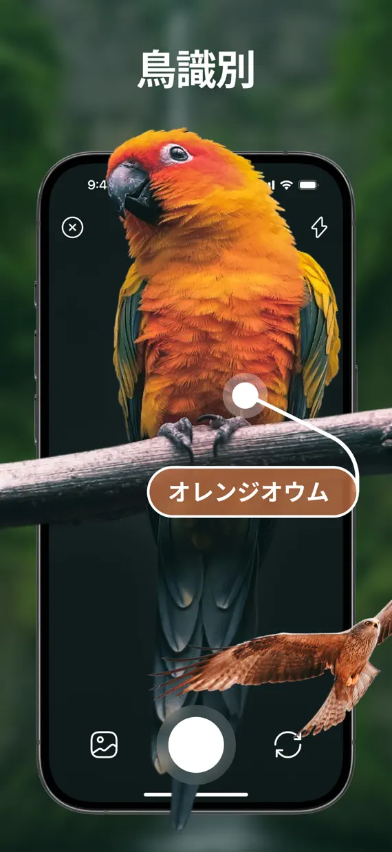 Bird Identifier & Guide screenshot 1