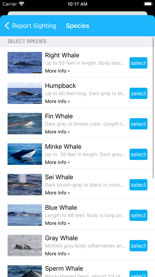 #5. Whale Alert (iOS) 由: Conserve.IO