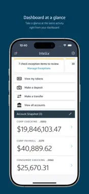 Capital One Intellix® Mobile screenshot 1