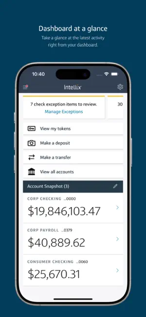 Capital One Intellix® Mobile screenshot 1