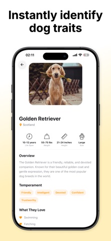 AI Dog Breed Identifier Screenshot 2 of 5
