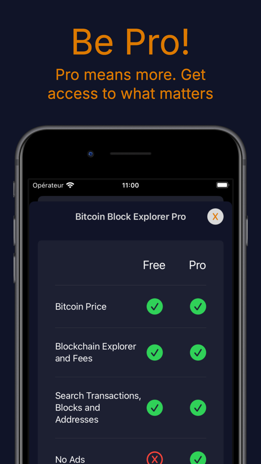 #4. Bitcoin Blockchain Explorer (iOS) By: Victor Hugo Pacheco Araujo