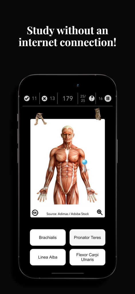 Anatomist – The Anatomy Game - Medical App | MWM
