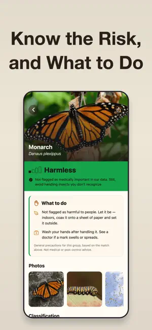 Bug Identifier・Insect ID screenshot 2