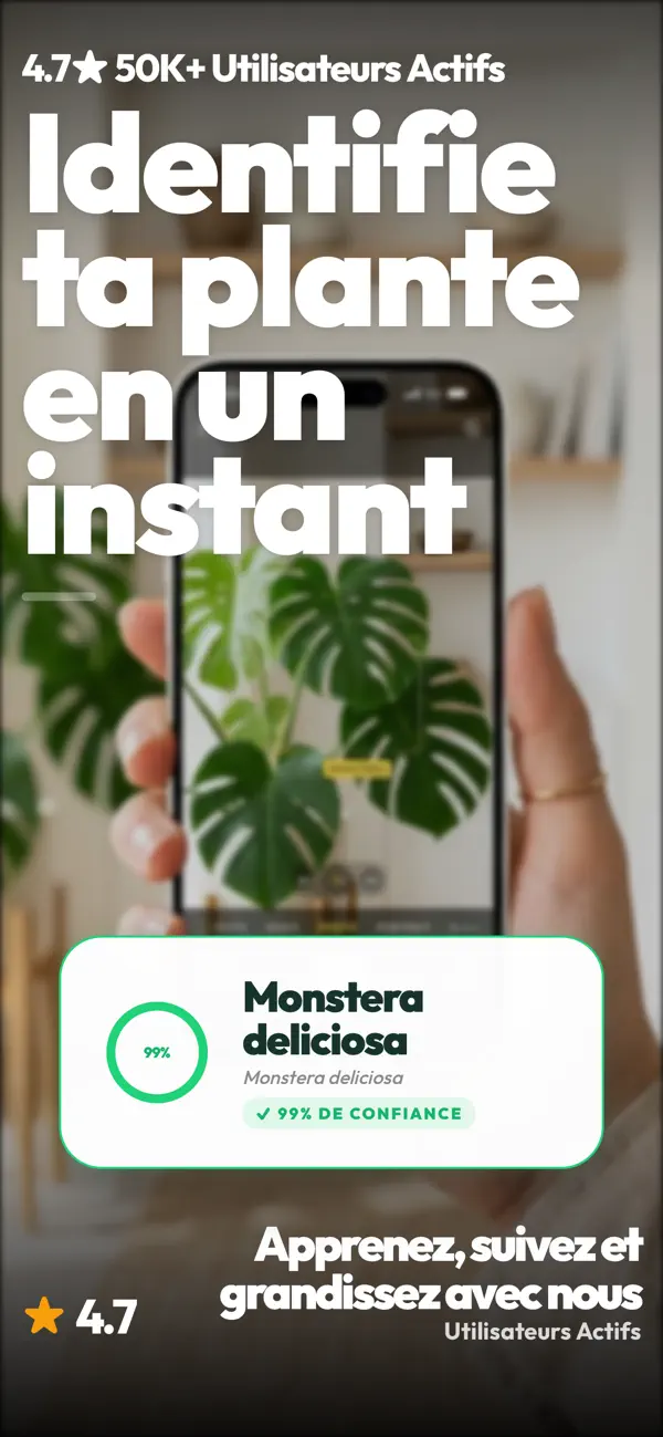 Screenshot #1 pour Identifier Plante: Guide