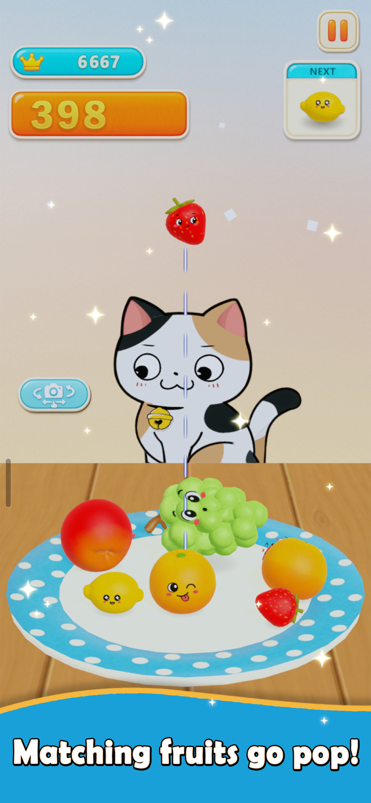 Fruits Plate screenshot 5