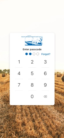 DSFCU Screenshot 2 of 4
