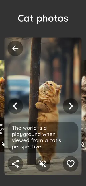 Purrity: cat photos and purr screenshot 1