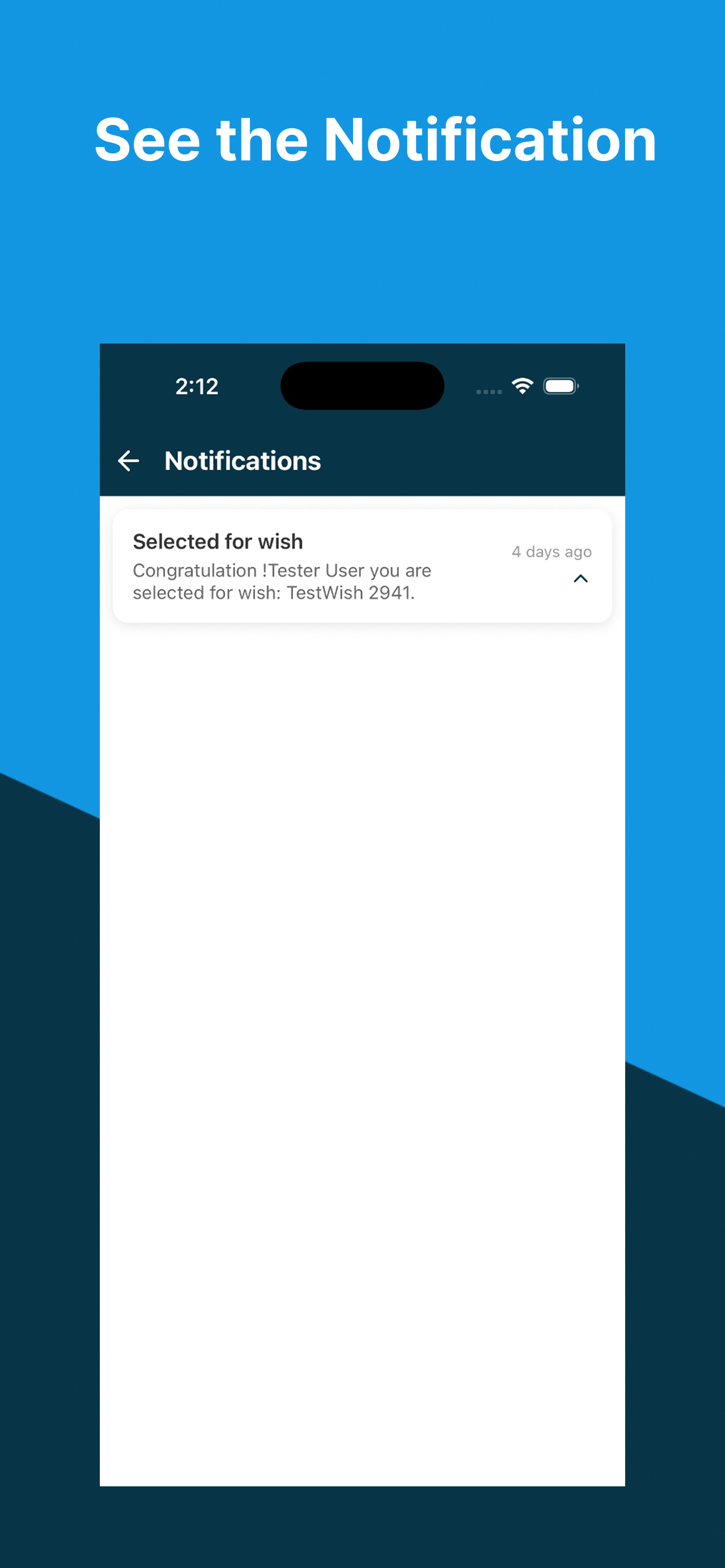 Genie On Hire screenshot 7