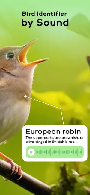 Bird Sounds Identifier Call ID screenshot 2
