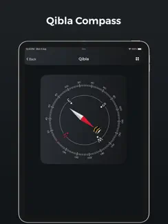 Bubble Level tool Inclinometer iPad image 3