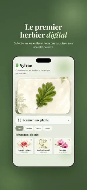 Sylvae screenshot 1