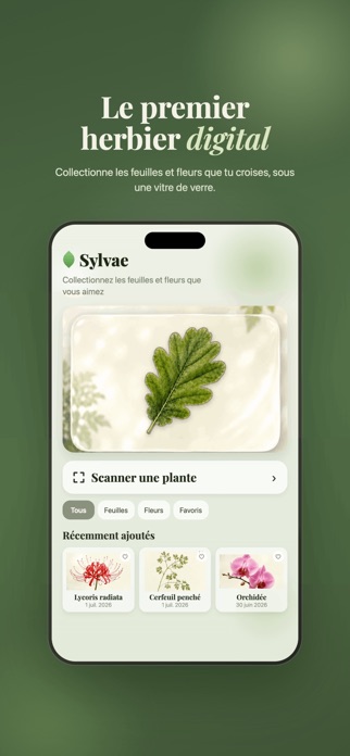 Sylvae Screenshot 1 of 5