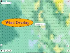 Marine Weather-Wind Tide Wave iPad image 2