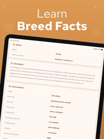 Cat Breed Identifier – Catium iPad screenshot