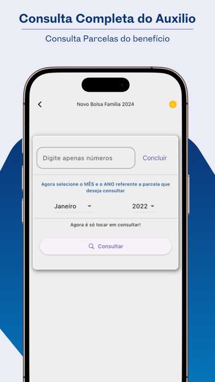 Consulta Auxílio 2025 screenshot-3