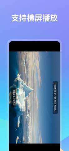 100LS播放器：视频、MP3 screenshot