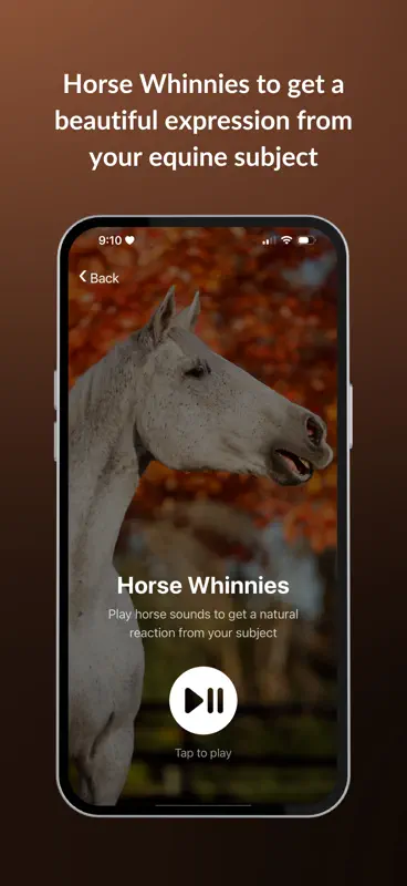 EquiCapture screenshot 4 of 8