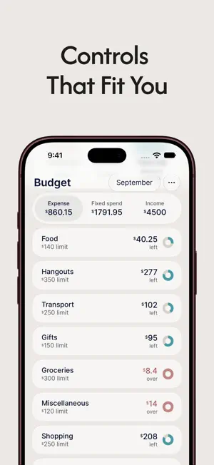 Effortless Budget screenshot 3