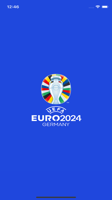 UEFA Euro 2024 Pitch Rater Screenshot