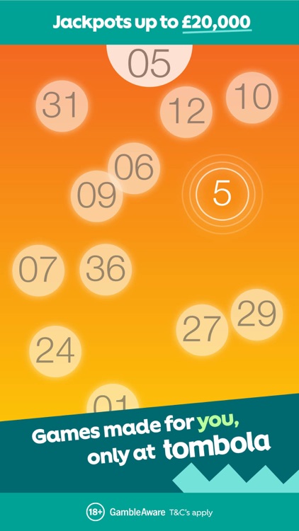 tombola bingo - Bingo Games screenshot-5