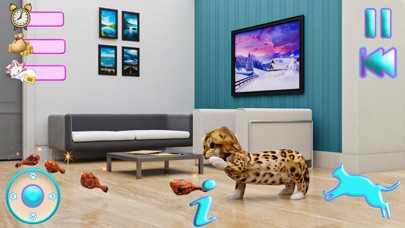 Little kitty Cat Sim Big City Screenshot