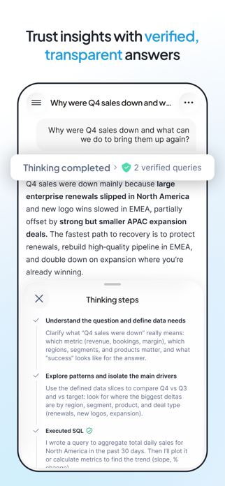 Snowflake CoWork Screenshot 4 of 7