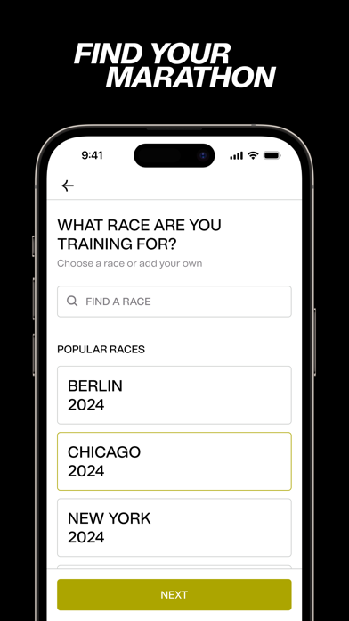 The Program by Bandit Running Screenshot