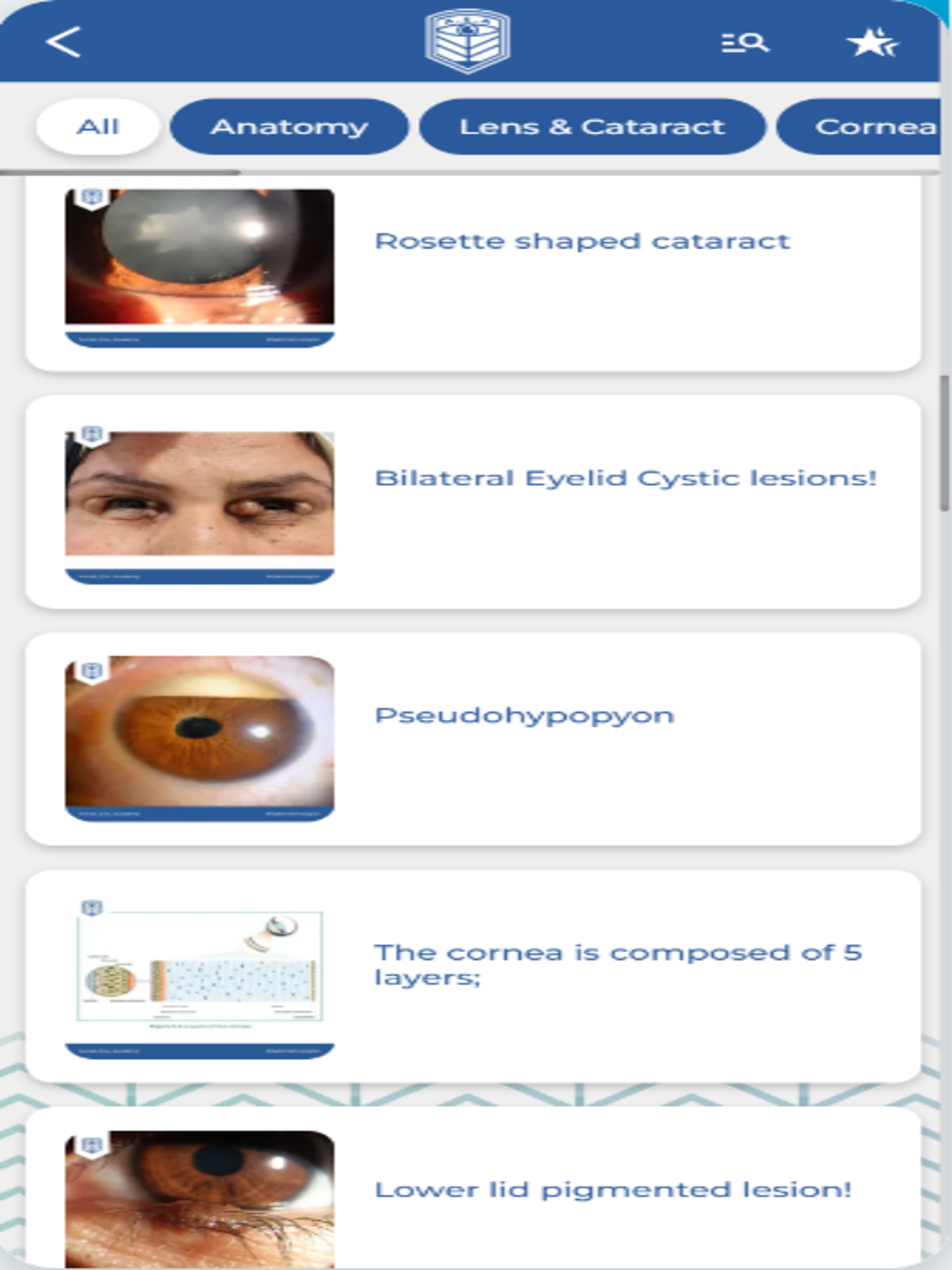 Arab Eye Academy