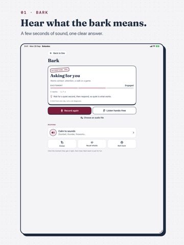 Bokedex: Dog Coach & Monitor iPad screenshot