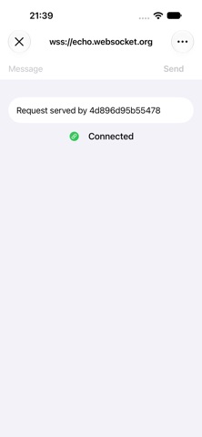 Simple WebSocket Client Screenshot 2 of 4