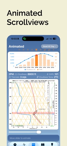 Learn Skew-T screenshot