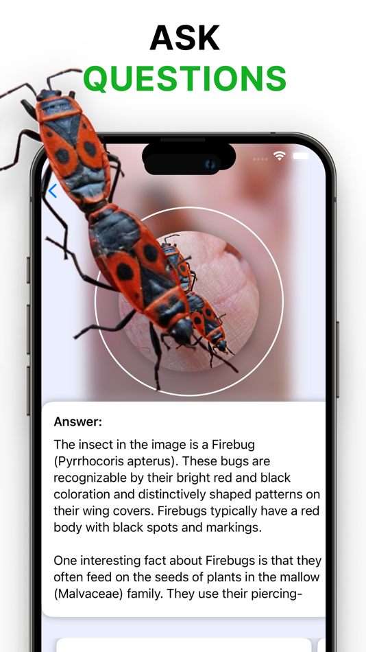 #4. Picture Insect Bug Identifier (iOS) 由: LIMBIC APPS YAZILIM LIMITED SIRKETI