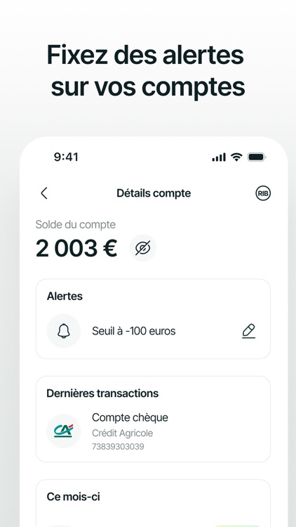 Treeview - Budget & Expenses screenshot-4