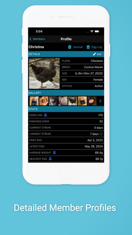 Flockstar screenshot-5
