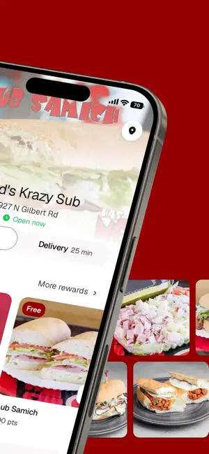 Ned's Krazy Sub To Go screenshot 2