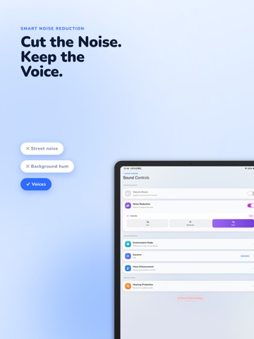Hearing Aid · Sound Amplifier iPad screenshot