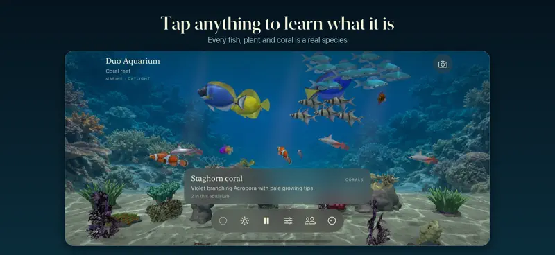 Duo Aquarium screenshot 6 of 6
