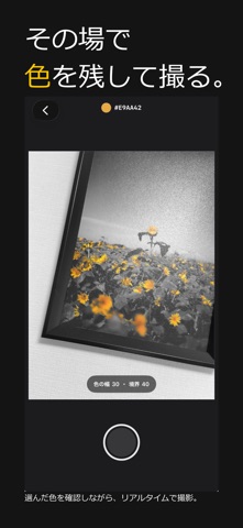 Accent - Selective Color iPhone screenshot 6
