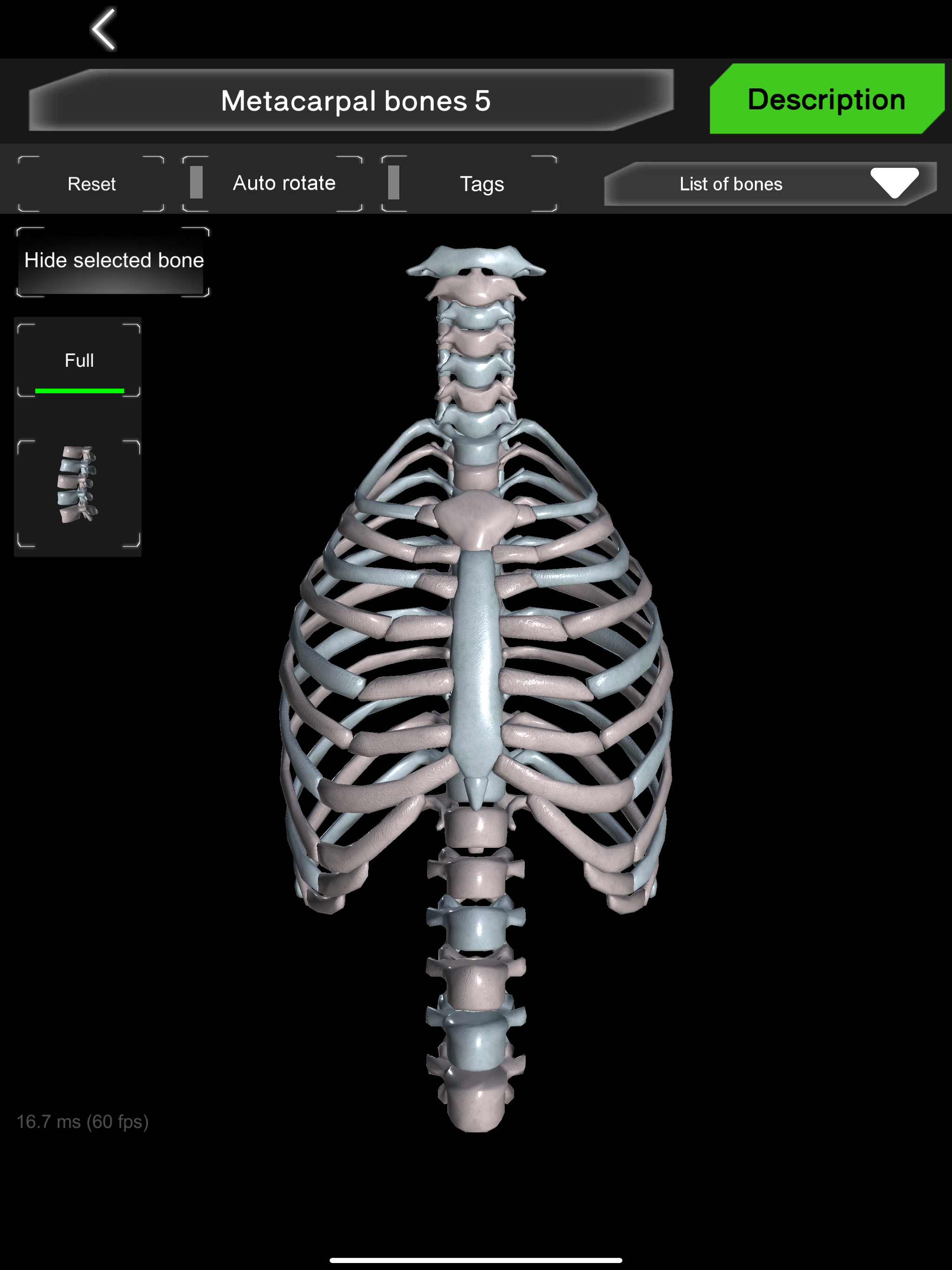 Bones 3D (Anatomy) screenshot 12