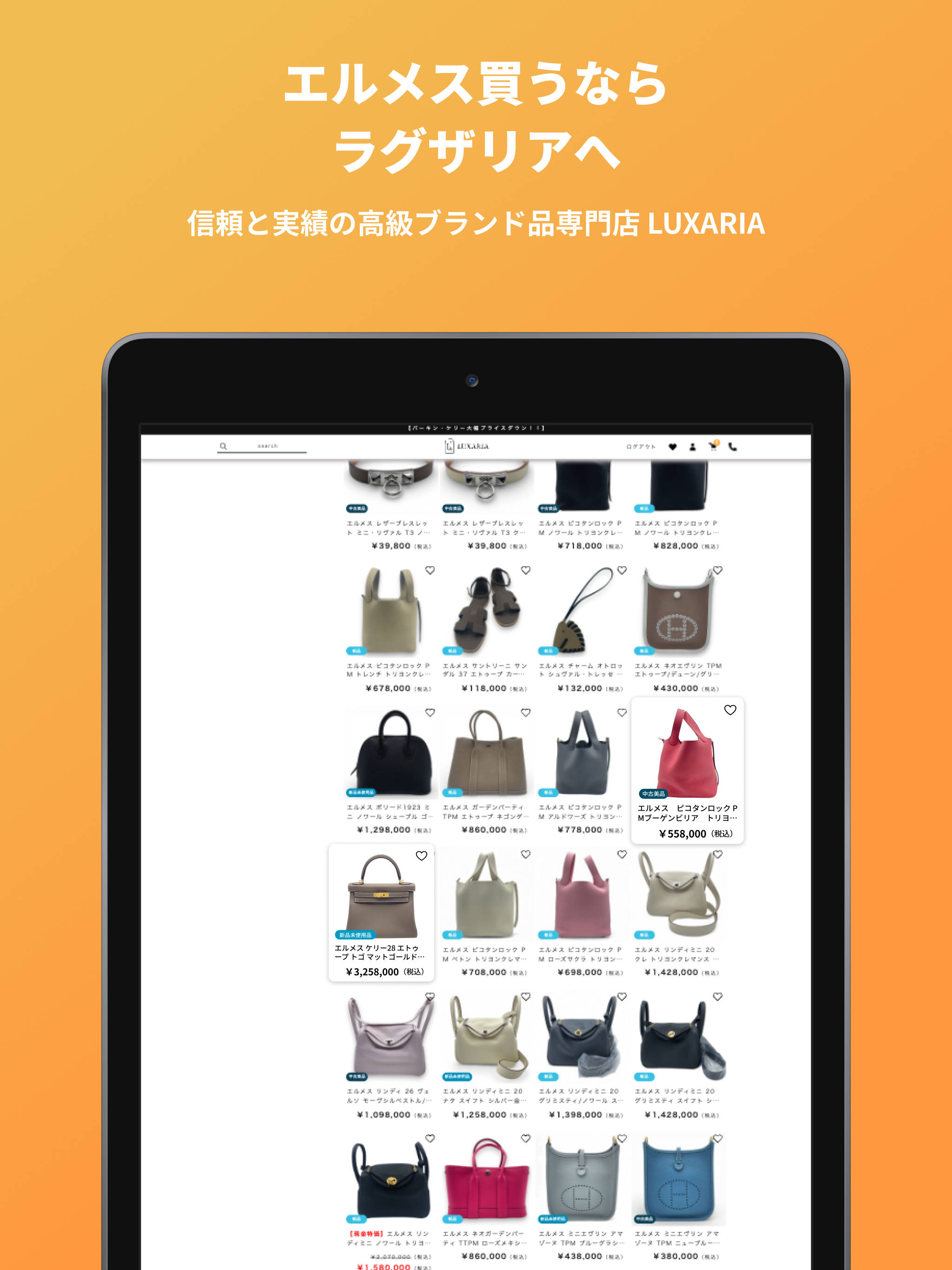 LUXARIA(ラグザリア) screenshot 11