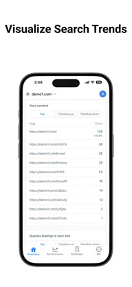 Search Console Tool screenshot 2